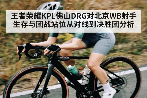 王者荣耀KPL佛山DRG对北京WB射手生存与团战站位从对线到决胜团分析